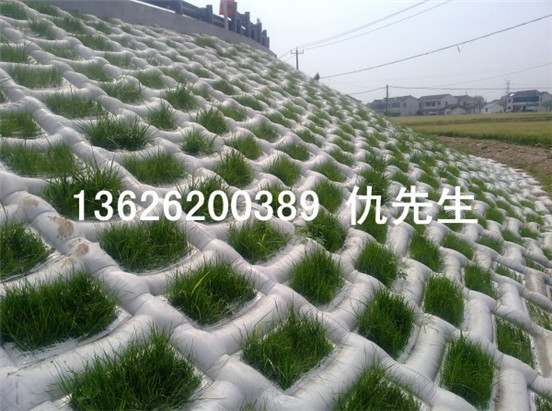 無錫生態(tài)模袋護坡